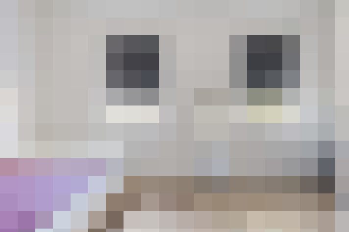  / #26