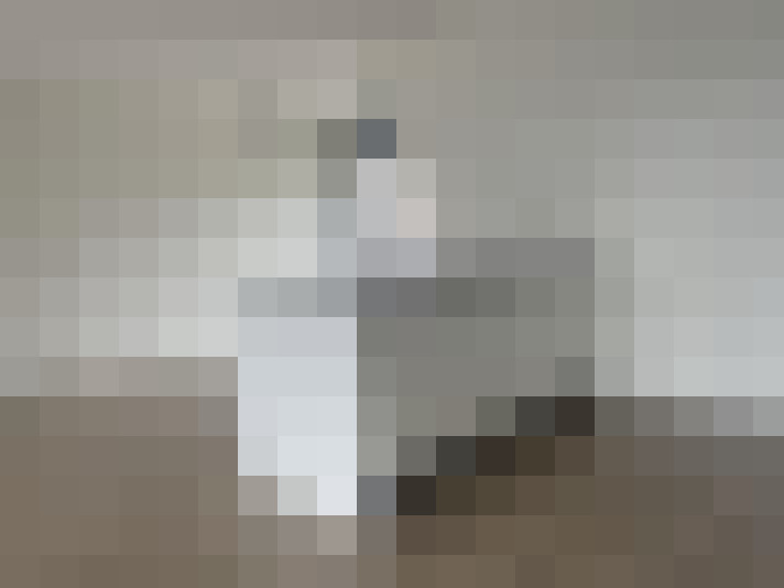  / #9