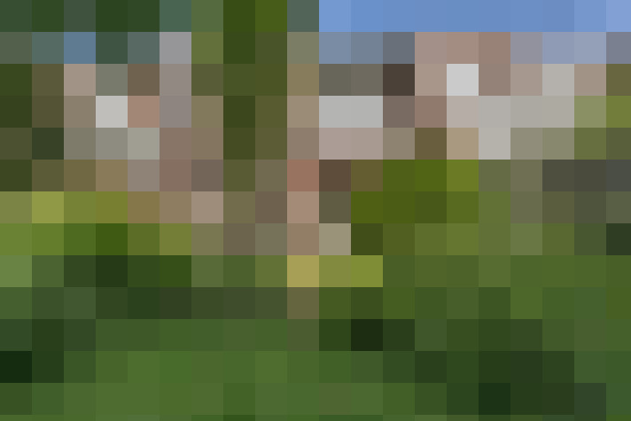  / #15