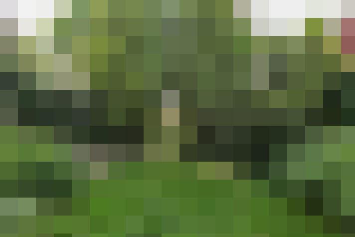  / #14