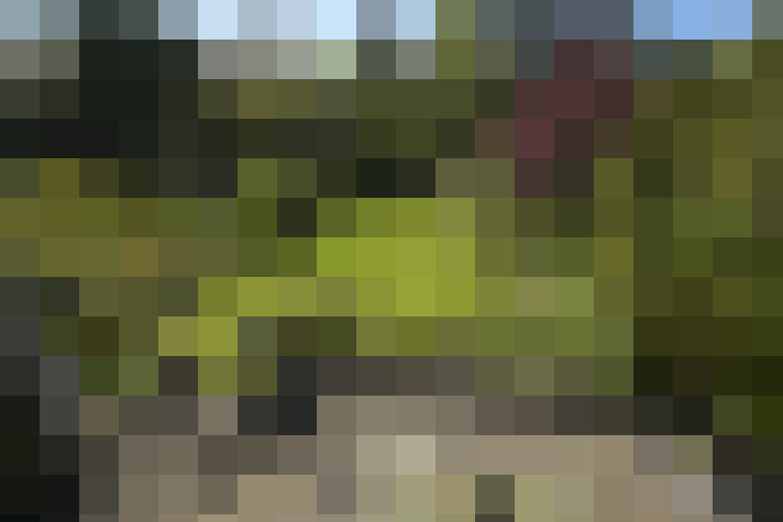  / #56
