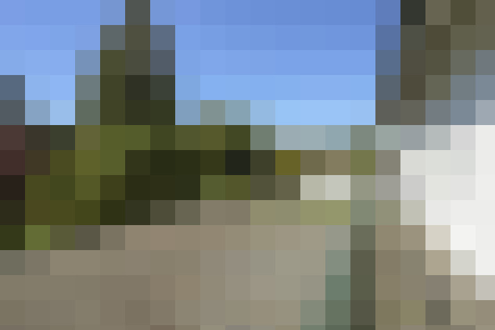 / #55
