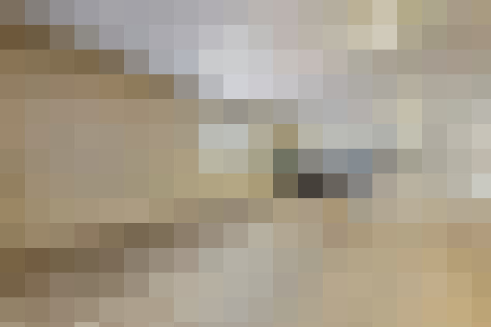  / #19