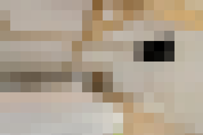  / #20