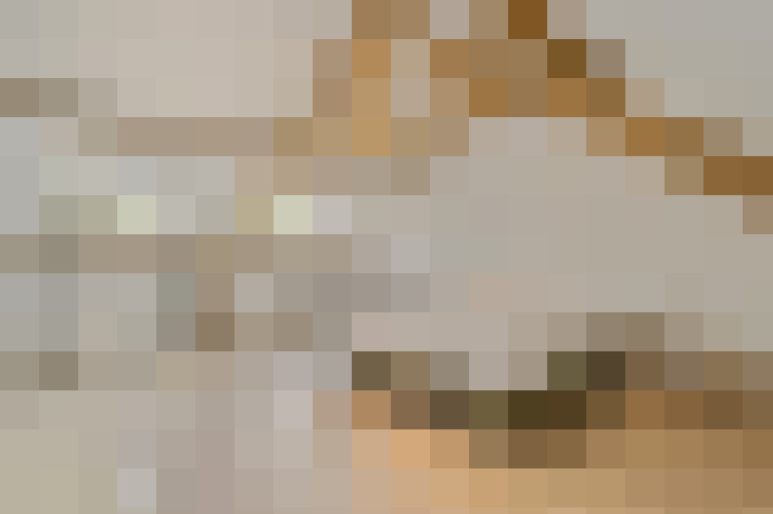  / #19