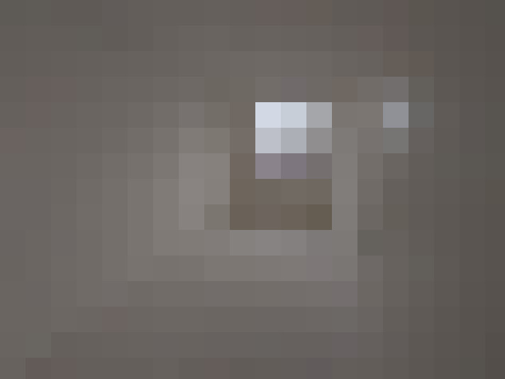 / #6