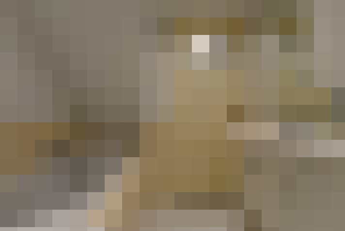  / #19