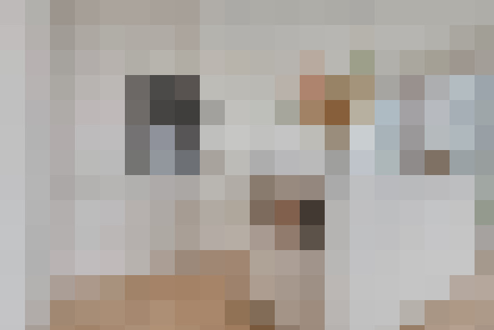  / #14