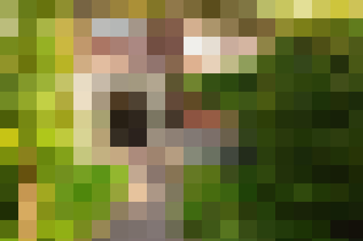  / #15