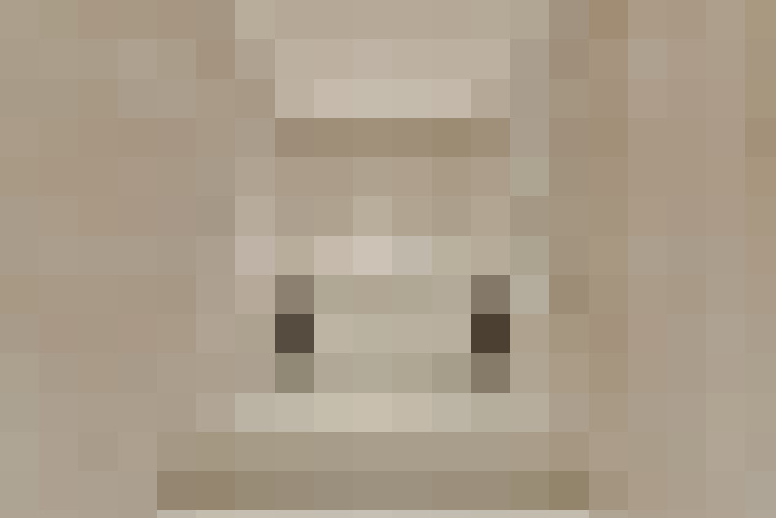  / #24
