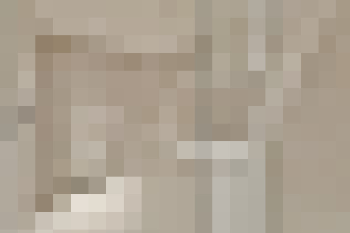  / #25