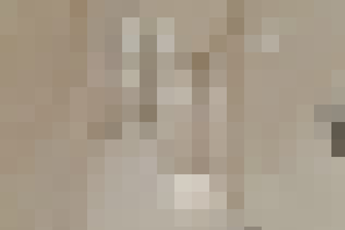  / #23
