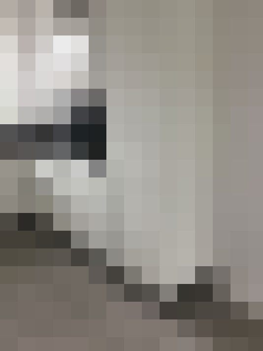  / #19