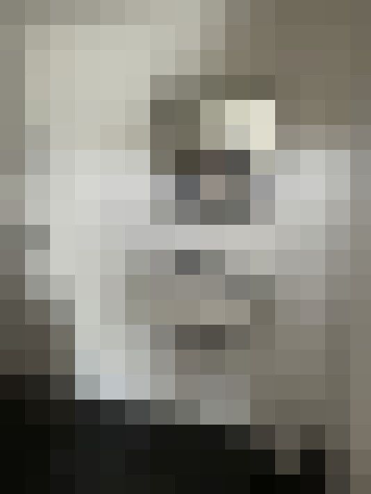  / #21