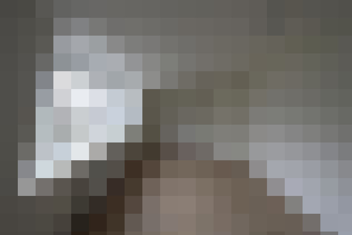  / #20