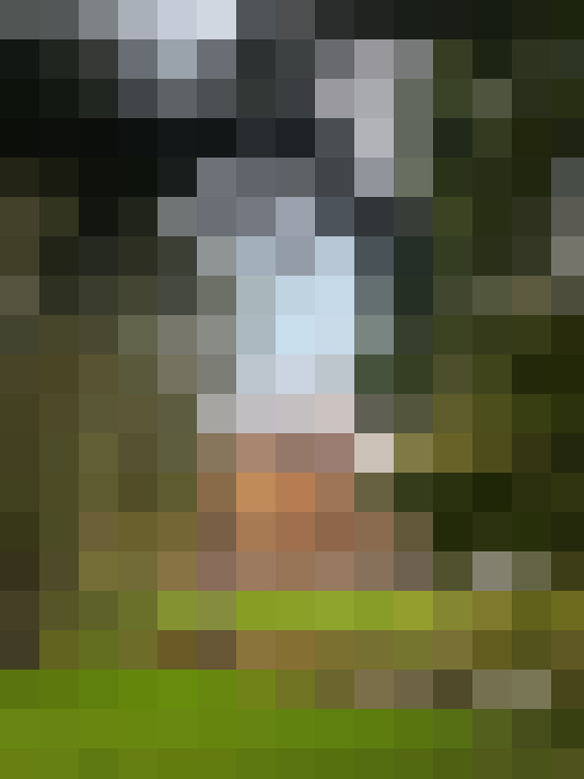  / #17