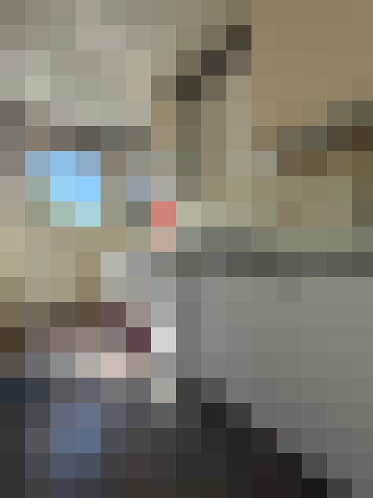  / #11