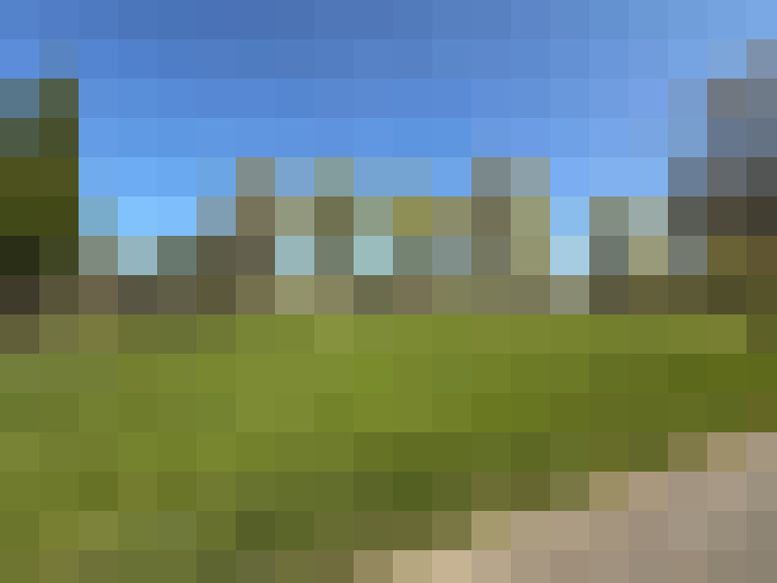  / #17