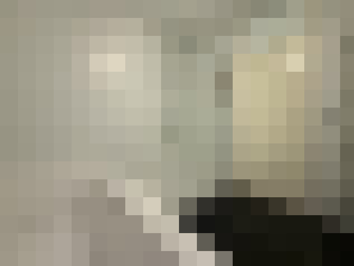  / #15