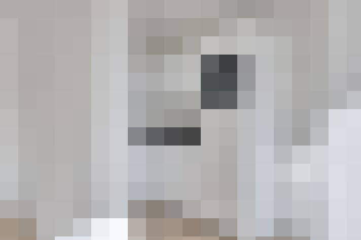  / #11