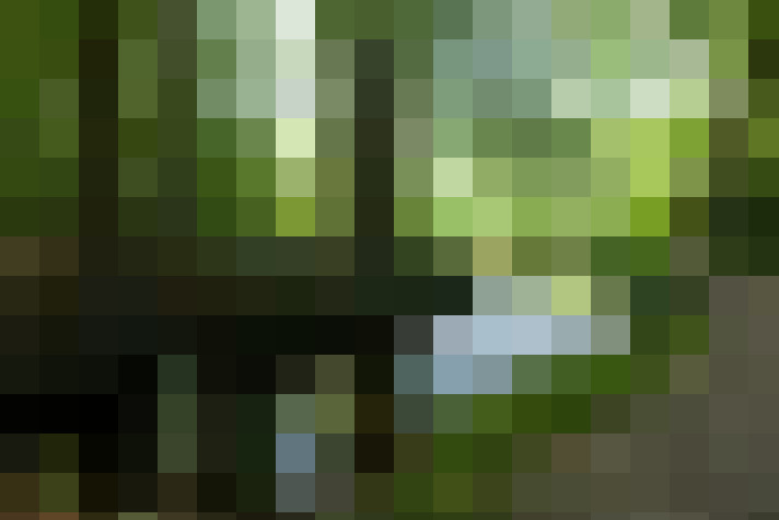  / #15