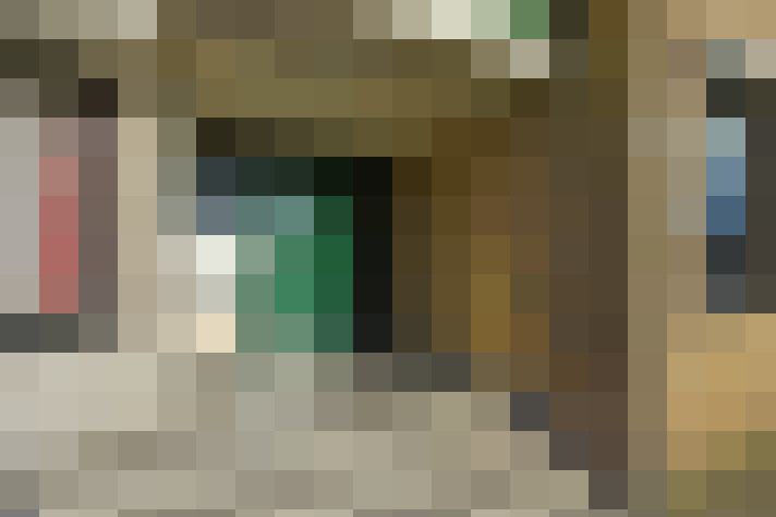  / #19