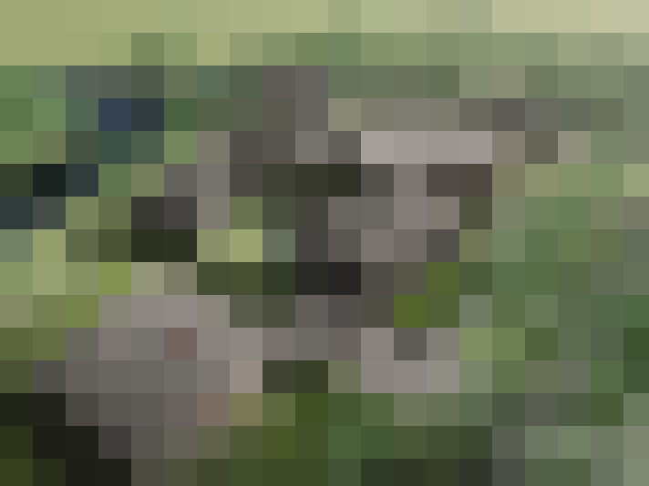  / #76
