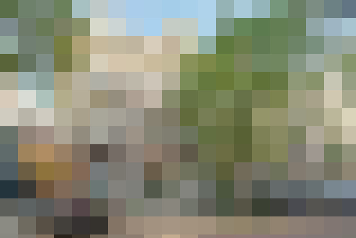  / #79