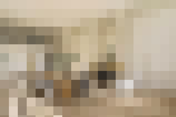  / #52