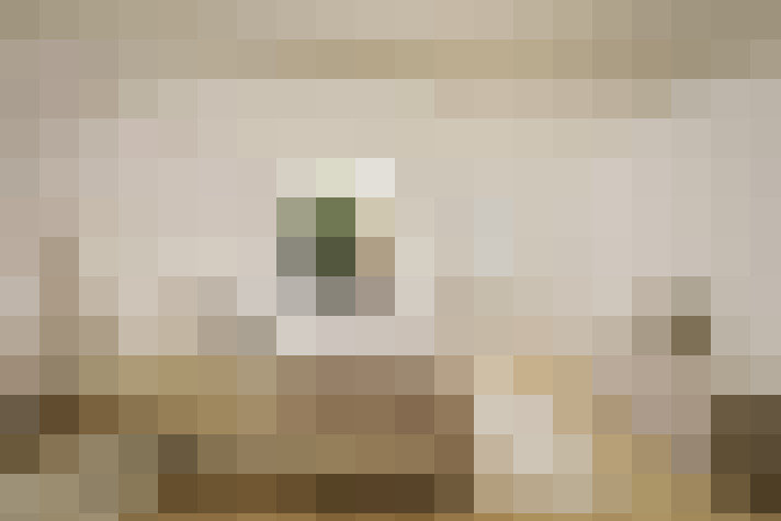  / #19