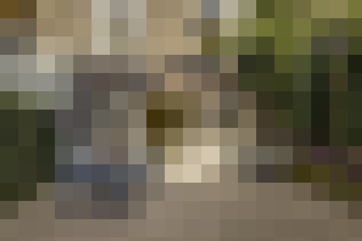  / #61