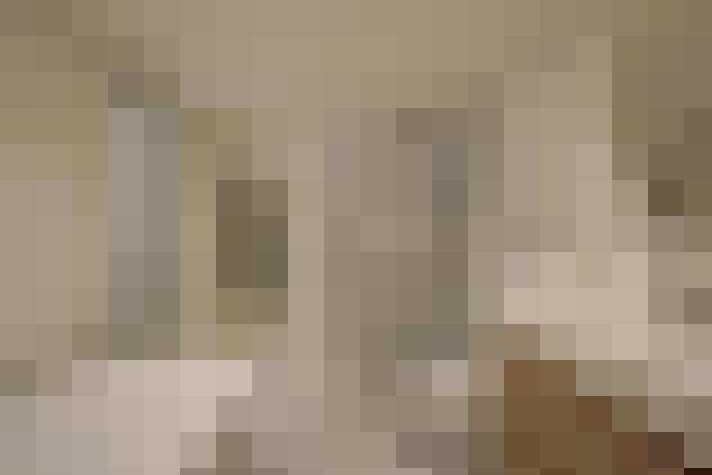  / #21