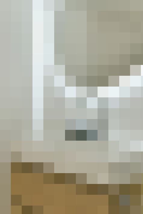  / #66