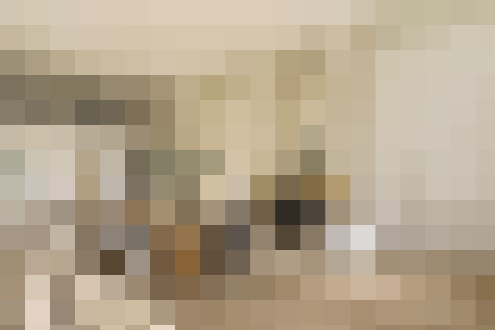  / #15