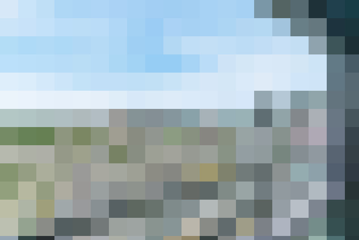  / #65