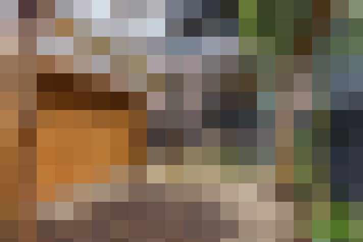  / #62