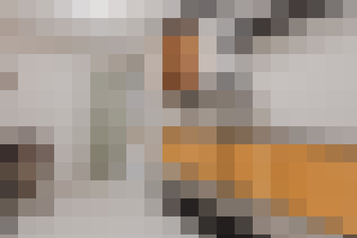  / #23
