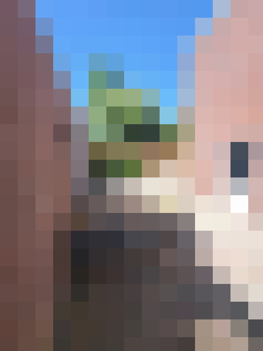  / #29