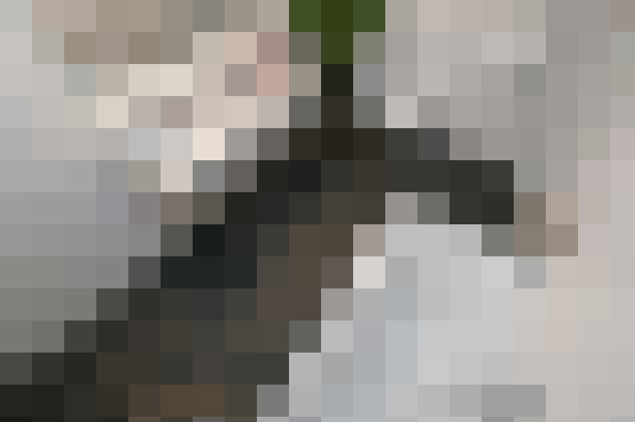  / #23