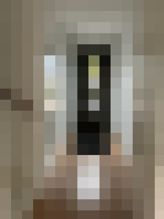  / #6
