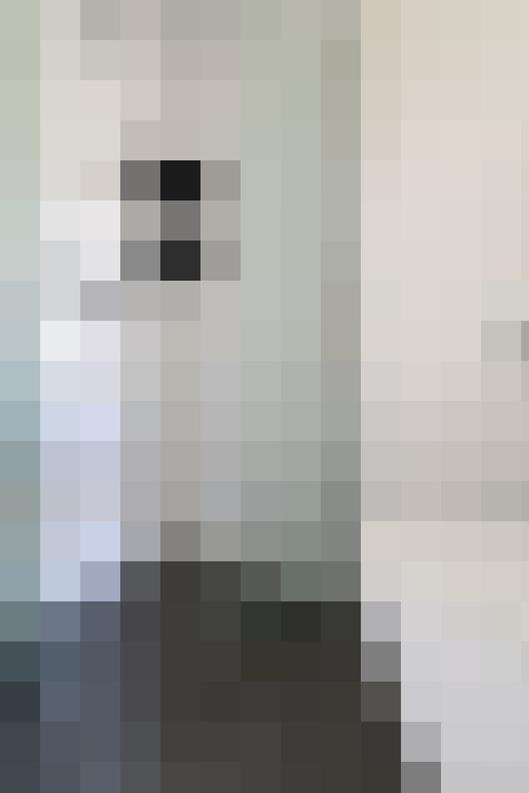  / #13