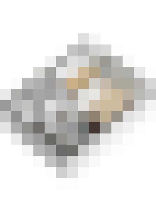  / #17