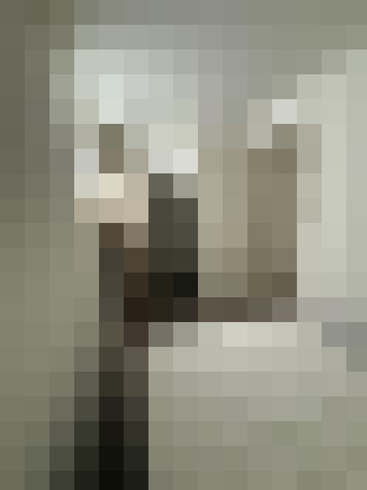  / #14