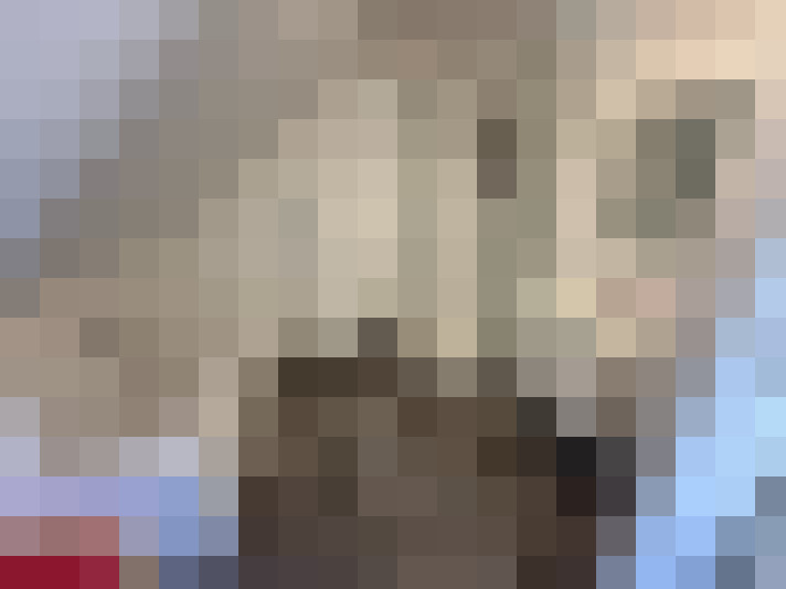  / #17