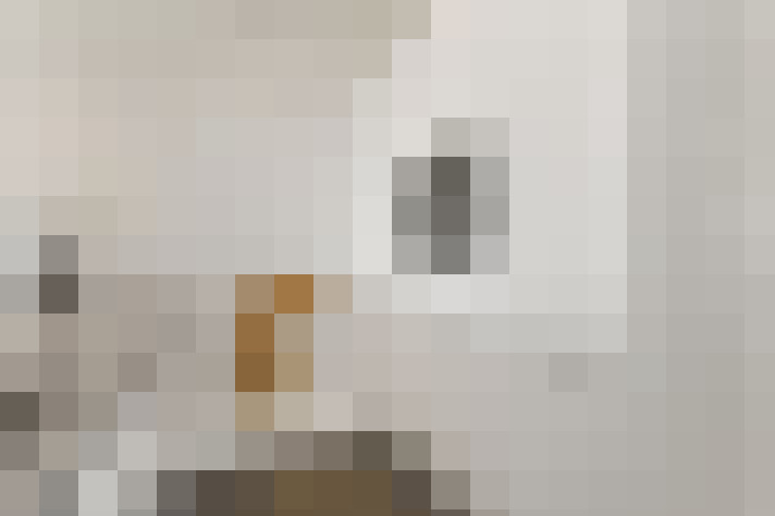  / #28