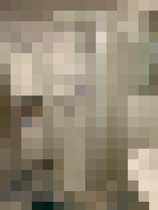  / #19