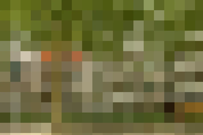  / #13