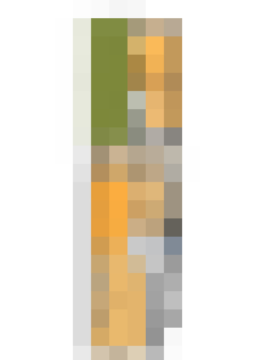  / #37