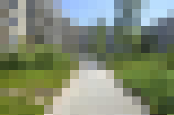  / #19