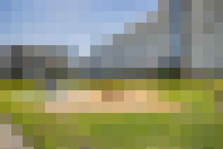  / #31